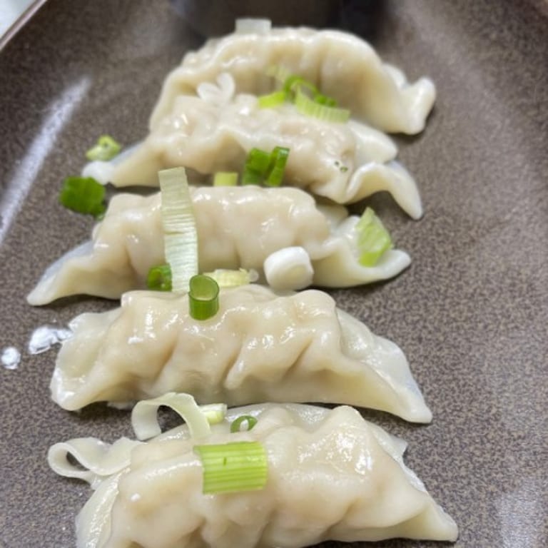 Savor Our Gyoza