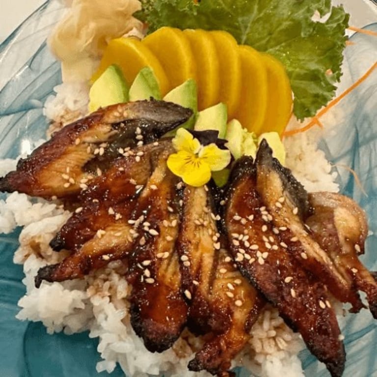 Unagi Delights: Sushi, Bento, and More